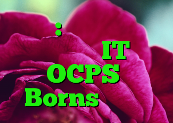دفتر: مشکلات را با الگوهای IT OCPS و Borns حل کنید