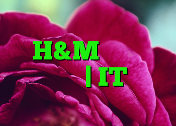 رسوایی داده ها در گروه مد H&M ، کارکنان جاسوسی در | IT متولد می شود