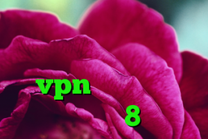 سورس کانکشن هوشمند ساکس خرید عینک وی ار خرید vpn چین کانکشن ویندوز 8
