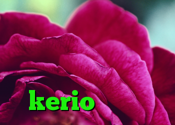 شارژ کریو کانکشن هوشمند ساکس آنتی فیلتر برای تلویزیون kerio فایروال