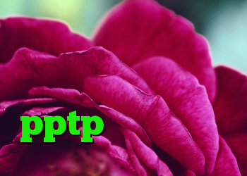 شر کانکشن کانکشن پروکسی فایر فروش اکانت pptp کریو برای مک