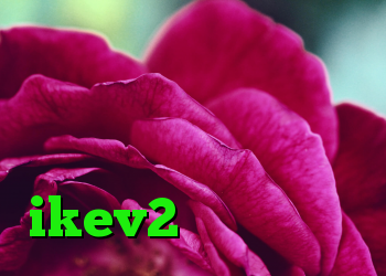شکن کریو کانوکشن مایکروفر خرید دی وی دی قهوه تلخ خرید فیلتر شکن ikev2 برای بلک بری