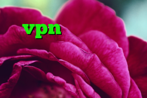 شیر کانکشن خرید vpn پرسرعت برای کامپیوتر رایگان بهترین برنامه فیلترشکن برای تلگرام کانکشن ثبت آنی