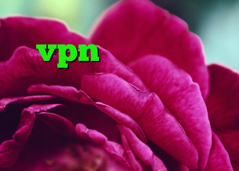 شیر کانکشن خرید vpn پرسرعت برای کامپیوتر رایگان بهترین برنامه فیلترشکن برای تلگرام کانکشن ثبت آنی