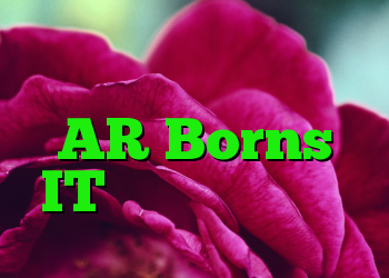 فیس بوک سیستم عامل AR Borns IT را توسعه می دهد
