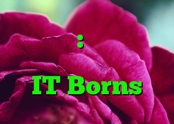 فیس بوک: میلیون ها داده کاربر در شبکه IT Borns