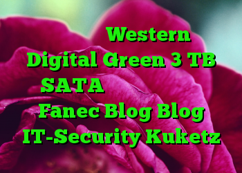 هارد دیسک Western Digital Green 3 TB SATA با جعبه آلومینیومی Fanec Blog Blog IT-Security Kuketz
