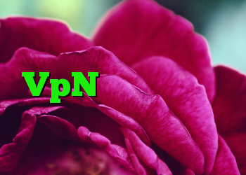 وی پی ن کریو ارزان خرید VpN دانلود کانکشن هوشمند ویندوز کریو خرید