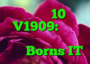 ویندوز 10 V1909: ویژگی هایی که دیگر در دسترس نیست Borns IT