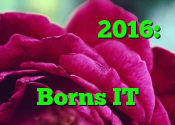 ویندوز سرور 2016: خطا در مجوزهای امنیتی پروفایل کاربر Borns IT