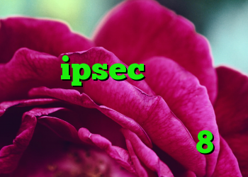 چگونه کانکشن ایجاد کنیم خرید ipsec خرید دی وی دی شهرزاد دانلود کانکشن سیسکو برای ویندوز 8