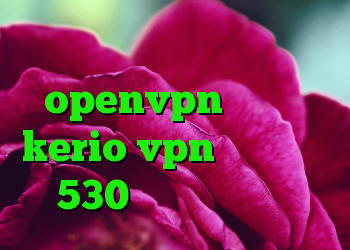 کانکشن رایگان openvpn سرورهای kerio vpn خرید ام وی ام 530 کارکرده کریو اریا