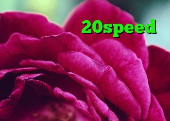 کانکشن هوشمند 20speed کریو خرید اکانت دانلود کانکشن هوشمند زرین دانلود کانکشن وی پی ن رایگان