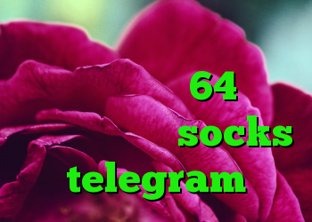 کانکشن پروکسی ساکس دانلود کانکشن سیسکو 64 بیت پراکسی تلگرام socks telegram