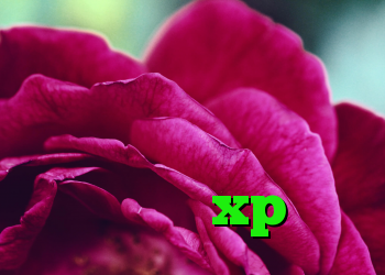 کروز دانلود آنتی فیلتر شکن دانلود انتی فیلتر پافین کانکشن ساختن در ویندوز xp