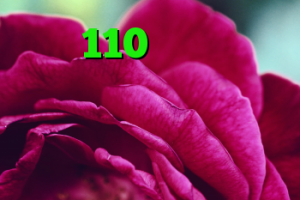 کریو 110 دانلود آنتی فیلتر برای کامپیوتر آنتی فیلتر وب فریر خرید کد آنتی ویروس