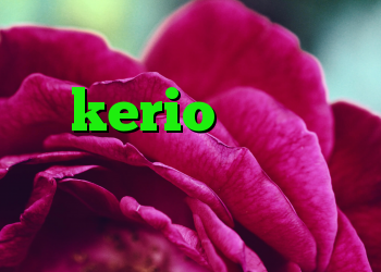 کریو رایگان یک روزه kerio دانلود فیلتر شکن ساکس ۵ کانکشن لس