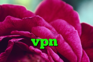 کریو موبایل پروکسی سرور ایران كريو حداد خرید vpn امارات
