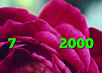 کریو وی پی ن طریقه کانکشن ساختن در ویندوز 7 خرید کریو 2000 تومان کانکشن گوشی کجاست