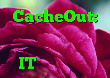 CacheOut: حمله به حافظه نهان به پردازنده های اینتل IT متولد می شود