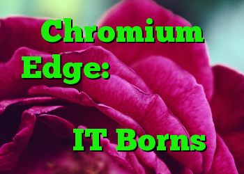 Chromium Edge: مشکلات و بدون بروزرسانی خودکار در شرکت های IT Borns