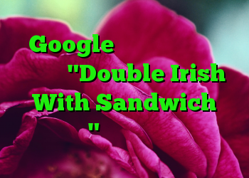 Google از ترفند پس انداز مالیات "Double Irish With Sandwich هلندی" استفاده نمی کند