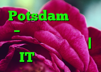 Potsdam آفلاین – ناسازگاری سرور را مجبور به خاموش کردن | IT متولد می شود