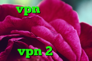 vpn داخل ایران ذانلود کانکشن سیسکو کانکشن هوشمند ساکس خرید vpn 2 کاربره