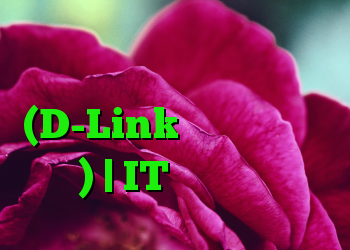 آسیب پذیری در روتر (D-Link ، کابل هانت ، هند) | IT متولد می شود