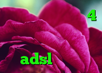 آنتی فیلتر اندروید 4 خرید اینترنتی تی وی شاپ حذف کانکشن adsl حي كريو