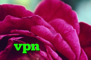 آنتی فیلتر فری گت کریو رایگان روزانه وی پی ان سرور ایران خرید vpn یک هفته ای