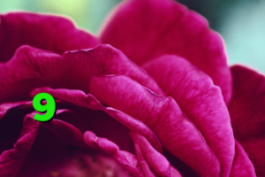 آنتی فیلتر یوتیوب دانلود کانکشن پی ام 9 علامت زرد کانکشن ریموت کانکشن