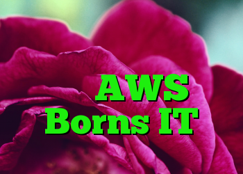 ابزار مفید برای امنیت ابر AWS Borns IT