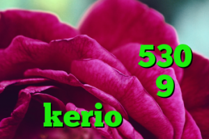افزونه آنتی فیلتر کروم خرید ام وی ام 530 خرید دی وی دی 9 kerio سرویس