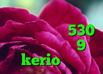 افزونه آنتی فیلتر کروم خرید ام وی ام 530 خرید دی وی دی 9 kerio سرویس