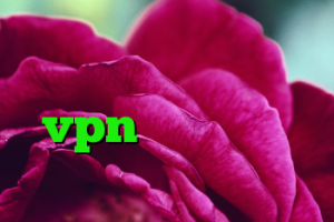 انتی فیلتر رستم خرید ام وی ام صفر خرید vpn روزانه خرید سرورمجازی وی پی اس