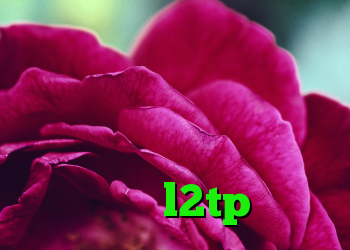 انتی فیلتر فیس بوک برای اندروید کانکشن هوشمند فیلترشکن کروز کنترل سمند خرید l2tp