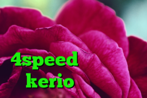 اینستا گرام وی پی ان دانلود کانکشن هوشمند 4speed خرید لایسنس kerio کریو ماکر