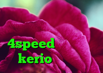 اینستا گرام وی پی ان دانلود کانکشن هوشمند 4speed خرید لایسنس kerio کریو ماکر