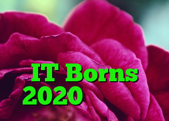 با تشکر از شما ، به عقب نگاه کنید و به IT Borns 2020 نگاه کنید