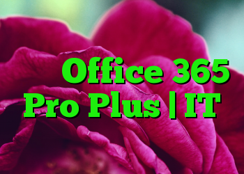 توصیه های اساسی امنیتی برای Office 365 Pro Plus | IT متولد می شود