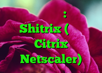 حملات سایبری: سقوط Shitrix (اشکال Citrix Netscaler)