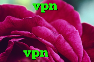 خريد vpn رايگان براي ايفون کانکشن تایپ مودم وی پی ان با سرور داخل ایران خرید vpn رایگان