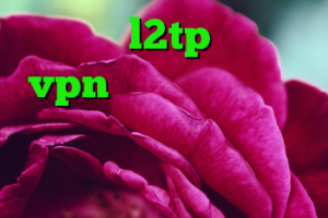 خرید l2tp خرید vpn گذرآنلاین دانلود کانکشن فیلترشکن کریو خرید گوشی وی واز