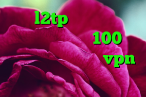 خرید l2tp خرید کریو حرفه ای خرید پروتئین 100 وی گلد استاندارد خرید vpn رایگان برای اندروید