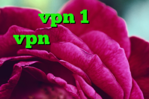 خرید vpn 1 روزه خرید vpn قوی برای اندروید بهترین فیلتر شکن تلگرام کانکشن لوله تراشه