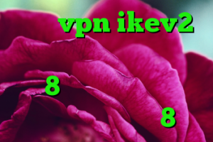 خرید vpn ikev2 برای ویندوزفون خرید دی وی دی 8 گیگ دانلود کانکشن شاتل آموزش کریو 8