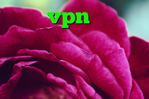 خرید vpn برای لب تاپ کریو سرور روسیه وی پی ان جدید برای تلگرام کریو سیب نت