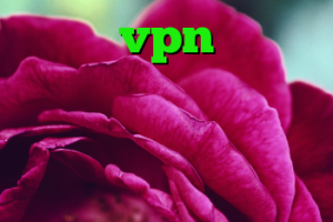 خرید vpn خارجی خرید عینک وی ار چگونه کانکشن ایجاد کنیم کریونیکس