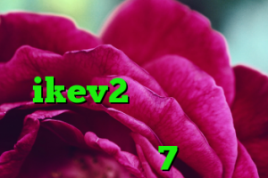 خرید آنتی فیلتر خريد لوازم وي ام اف خرید اکانت ikev2 برای ویندوز فون کانکشن اینترنت در ویندوز 7